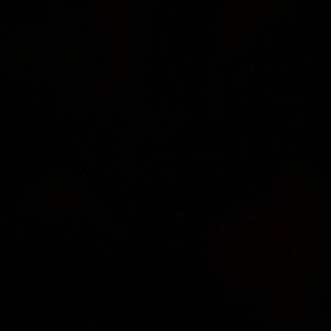 Meet your Posher, Silas